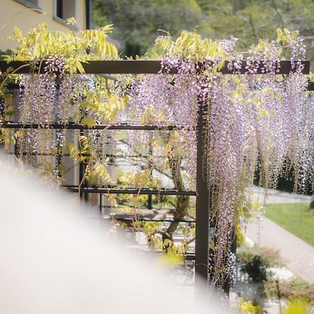Agriturismo La Valle Di Vico Caprarola Eksteriør billede