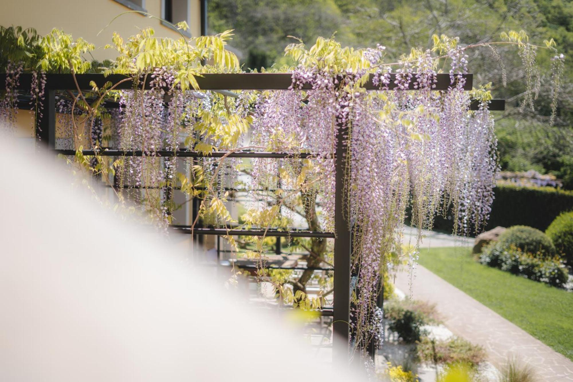 Agriturismo La Valle Di Vico Caprarola Eksteriør billede