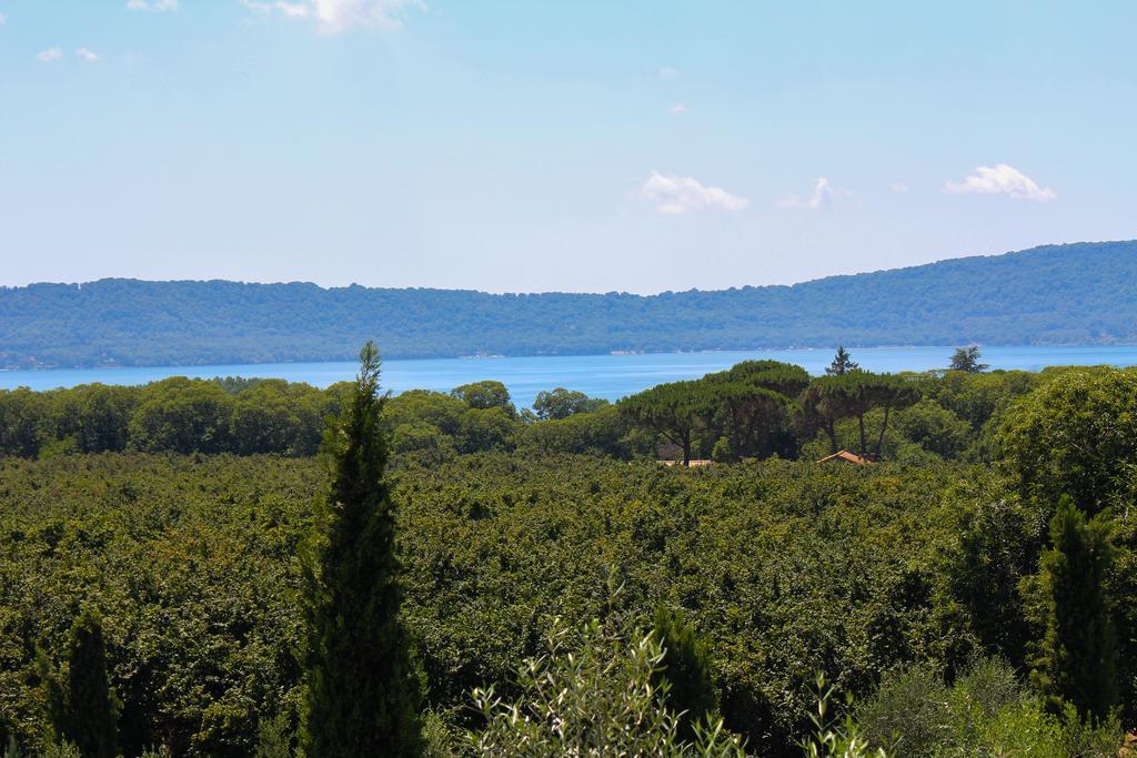 Agriturismo La Valle Di Vico Caprarola Eksteriør billede
