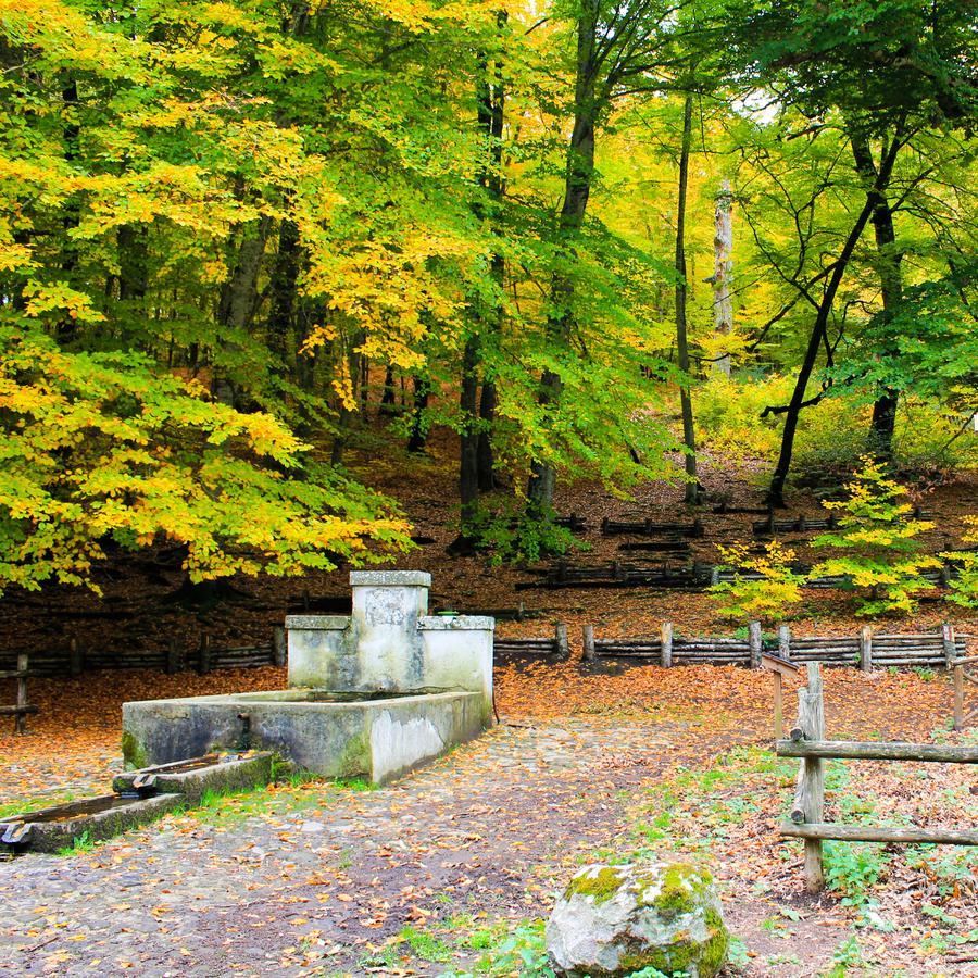 Agriturismo La Valle Di Vico Caprarola Eksteriør billede